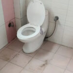 Global Corporate Tour